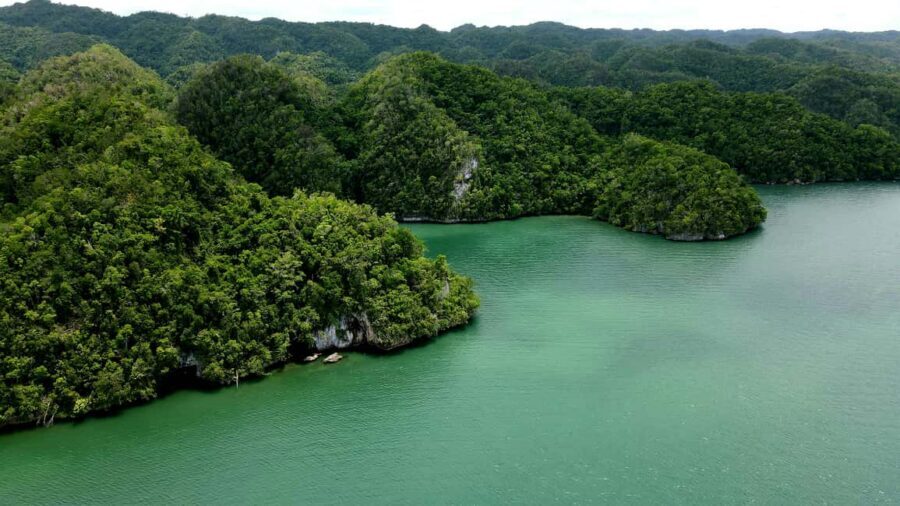Los Haitises: Boat Excursion and Walking Tour with Lunch - Weather and timing: why a boat day comes with a small uncertainty