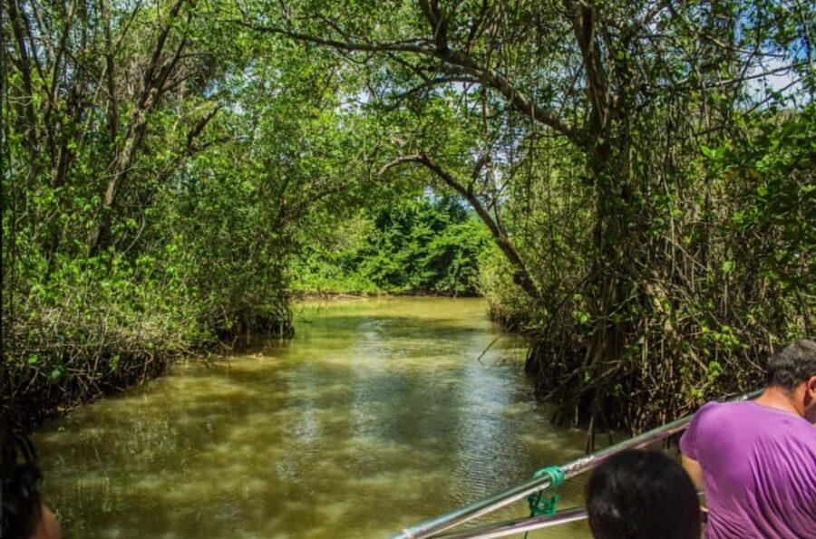 Los Haitises Boat Ride + Caño Hondo Natural Pools - Key highlights you’ll feel all day