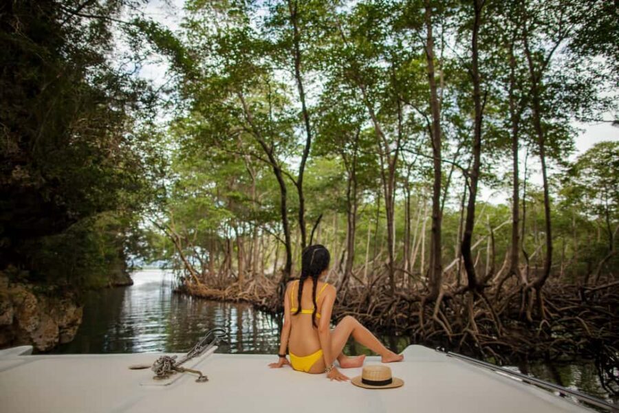 Los Haitises: Caves, Mangroves, & Rainforest Hike/Boat Tour - Key things to know before you go