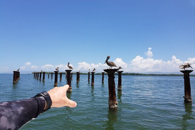 Los Haitises National Park, Montaña Redonda & Bacardi Island - Lunch, open bar, and the value behind the $203 price tag