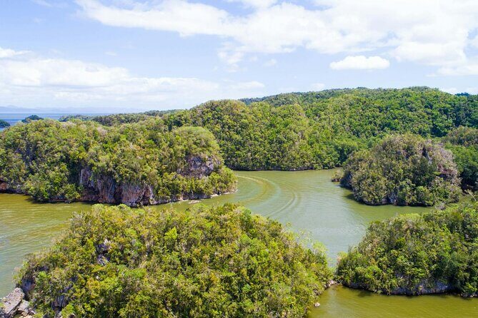 Los Haitises National Park, Montaña Redonda & Bacardi Island - Los Haitises National Park: cave history, birds, and mangroves