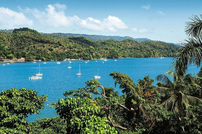Los Haitises National Park, Montaña Redonda & Bacardi Island - Who this tour fits best (and who should rethink it)
