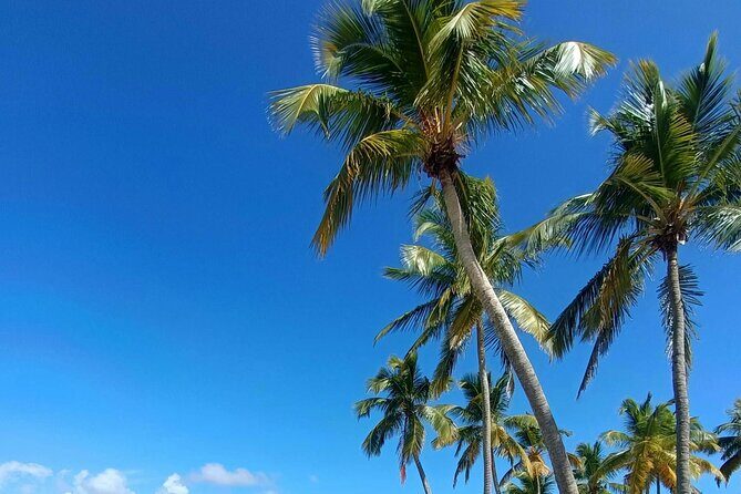 Los Haitises National Park, Montaña Redonda & Bacardi Island - Should you book this Los Haitises and island day?
