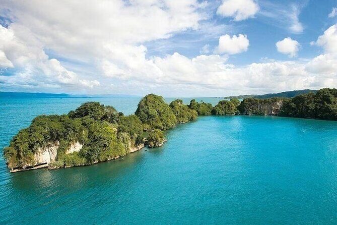 LOS HAITISES National Park - Punta cana - The mangrove boat ride: your first real taste of the park