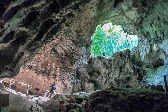 LOS HAITISES National Park - Punta cana - Taino cave art: how to make the petroglyphs click