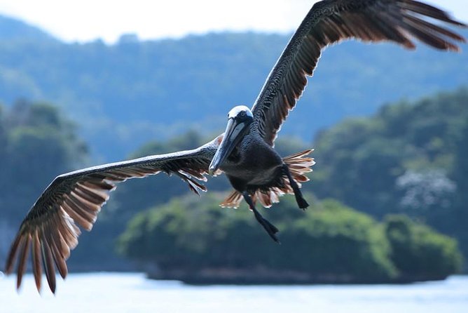 Los Haitises National Park Tour from Punta Cana Montana Redonda and Cano Hondo - Value check: what $120 gets you from Punta Cana