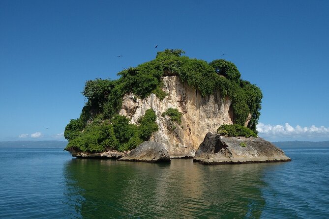 Los Haitises Park & Cayo Levantado: Samaná unforgettable Journey - Logistics That Matter: Transport, Lifebelts, and Comfort