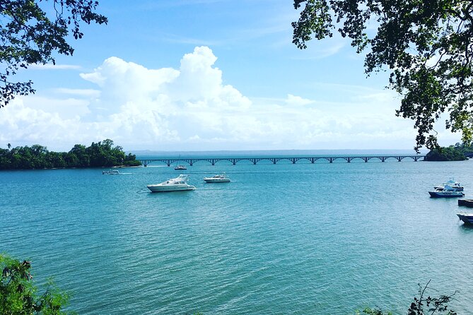 Los Haitises Park & Cayo Levantado: Samaná unforgettable Journey - Weather, Sea Conditions, and the One Real Risk: The Water Calls the Shots