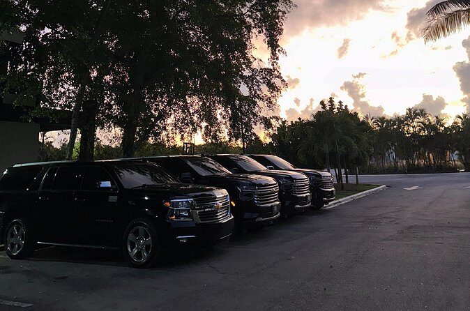 Luxe Black Car Transfer – Cap Cana, Bavaro & Punta Cana Airport - Meet-and-greet at Punta Cana Airport: your name sign and luggage help