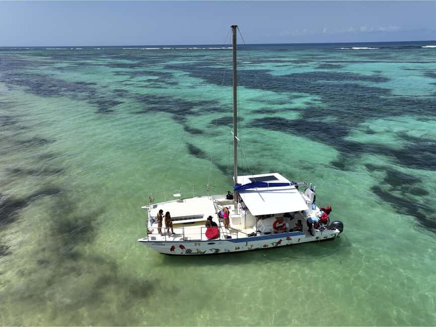 Luxury on the Water: Exclusive Catamaran Tours in Punta Cana - The marine life stop and dolphin watching: short windows, clear expectations