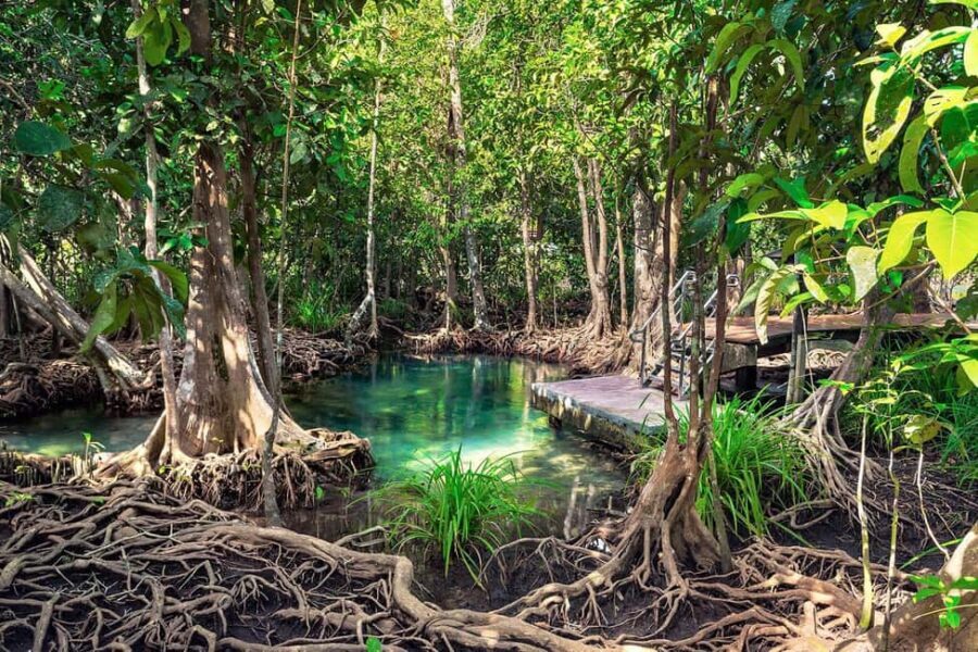Mangroves, Mogotes and Mountains from Punta Cana - Walking Los Haitises: mogotes, caves, and Taino petroglyphs