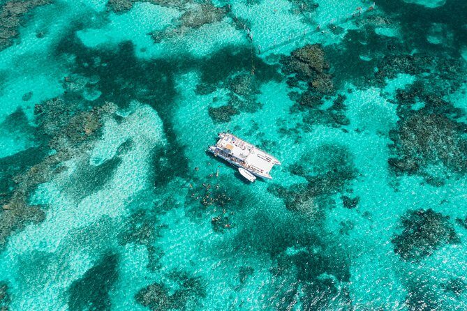 Marinarium Snorkeling Cruise from Punta Cana - Who should book this Marinarium snorkeling cruise?