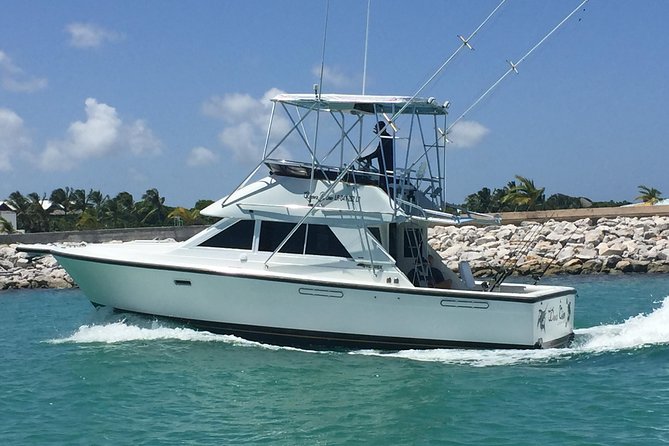 Marlin Fever at Marina Cap Cana -Private Sportfishing Charter - The 4-Hour Fishing Plan: Marina Cap Cana Area, One Main Stop