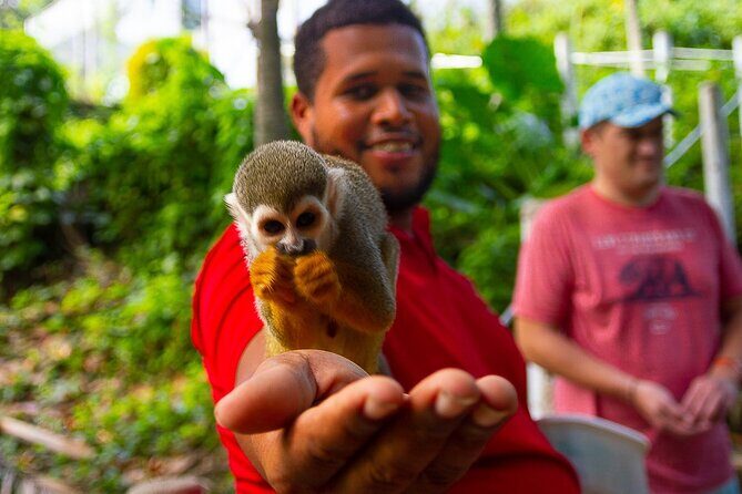 Monkey Enconter & Zip line Adventure - Key points you should know before you go