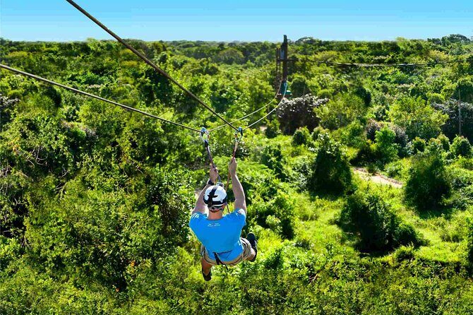 Monkey Enconter & Zip line Adventure - El Choco monkey time: shoulder-to-head encounters, with clear rules