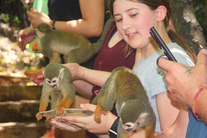 Monkey Enconter & Zip line Adventure - Price and value: what $125 really buys you