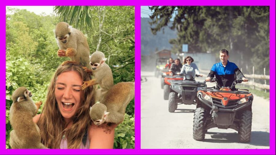 Monkey Encounter + ATV Riding Adventure – Puerto Plata - Monkey Encounters That Feel Personal (Not Just a Photo Op)
