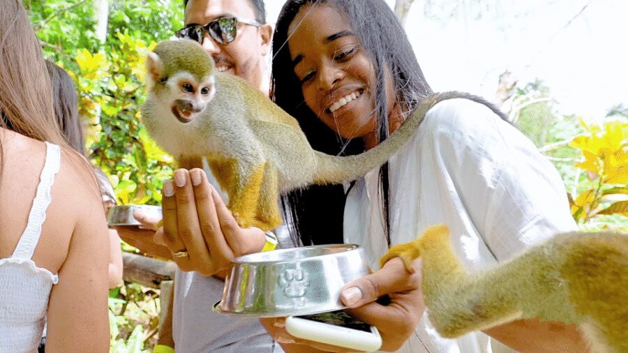 Monkey Encounter + ATV Riding Adventure – Puerto Plata - What’s Included in the Price (And What You’ll Pay Separately)