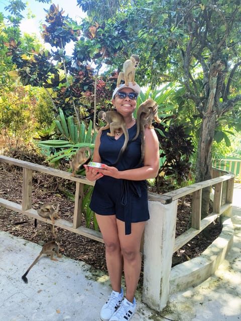 Monkey Encounter + ATV Riding Adventure – Puerto Plata - Private Group Comfort (And Why That Matters)