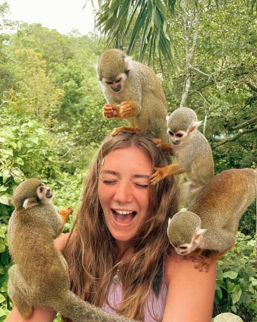 Monkey Encounter + ATV Riding Adventure – Puerto Plata - Coffee and Cacao Tasting Stops That Make the Countryside Make Sense