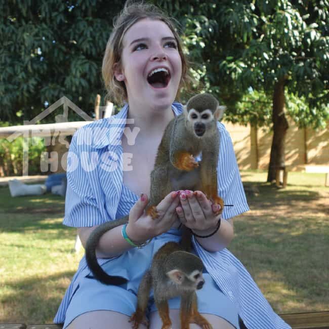 Monkey House VIP – An exclusive experience in Punta Cana - Key things to know before you go
