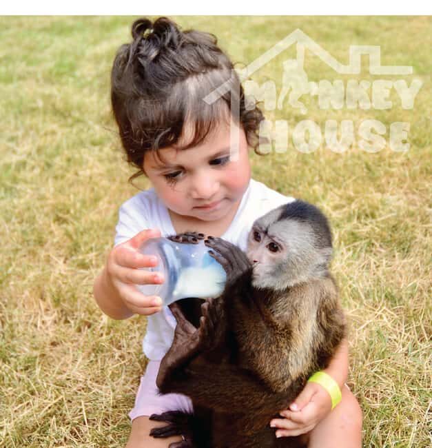 Monkey House VIP – An exclusive experience in Punta Cana - Monkey House VIP in Punta Cana: what makes it feel different