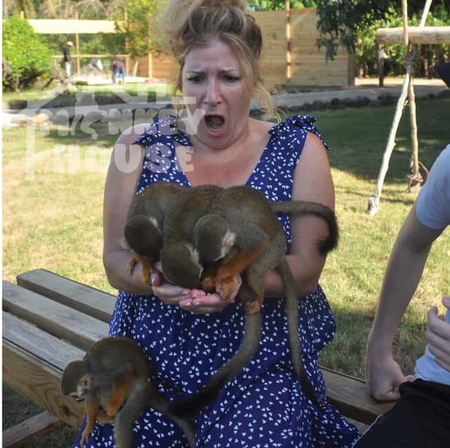 Monkey House VIP – An exclusive experience in Punta Cana - Timing and flow: how the 150 minutes usually works