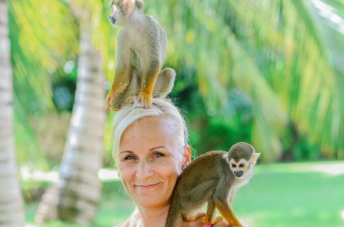 Monkey House VIP Experience with 4 species of monkeys, Punta Cana - The four monkey species you’ll meet up close
