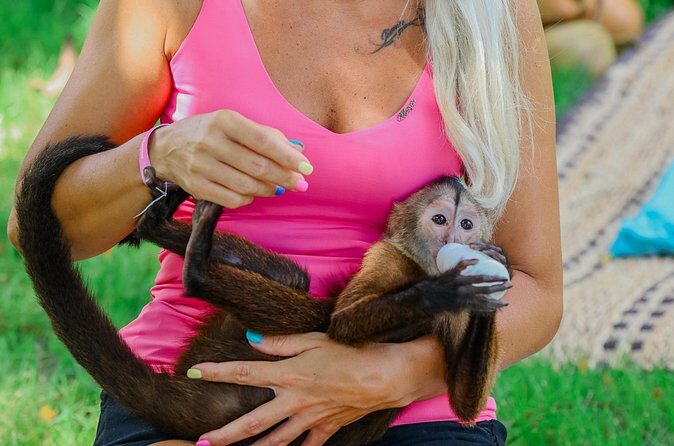 Monkey House VIP Experience with 4 species of monkeys, Punta Cana - Your own photos: when you’ll get the chance