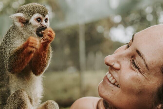 Monkey Jungle with Zip line - Key Highlights Worth Planning For