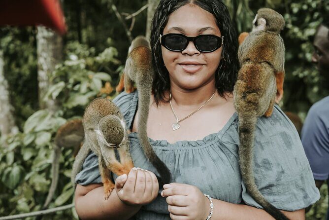 Monkey Jungle with Zip line - Puerto Plata in One Shot: How This Tour Covers Lots of Ground