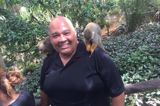 Monkey Jungle with Zip line - Price and Value: Is $125 Worth It?