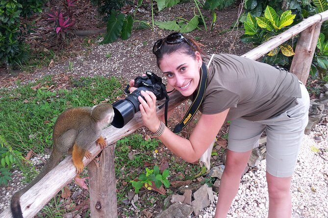 Monkeyland and Plantation Safari from La Romana - Monkeyland: feeding squirrel monkeys and getting the timing right