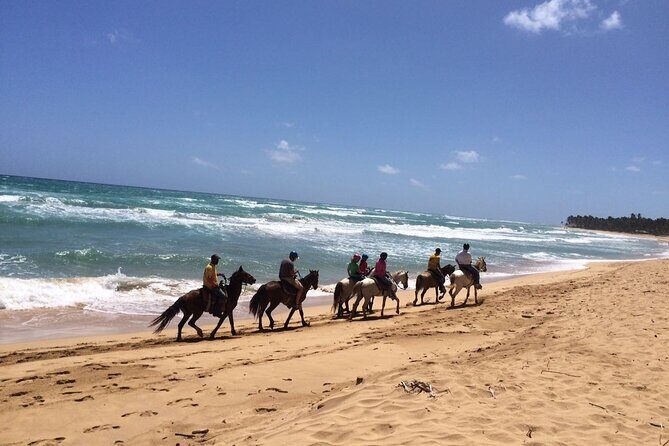Montaña Redonda & Horseback Riding 2-in-1 Tour from Punta Cana - The shift to Playa Limon: calm beach + 50 minutes on horseback