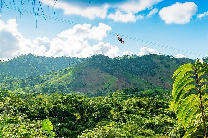 Mountain Zipline Half Day Adventure from Punta Cana - Safety Briefing That Actually Matters: Helmet, Gloves, Harness, and Ladders