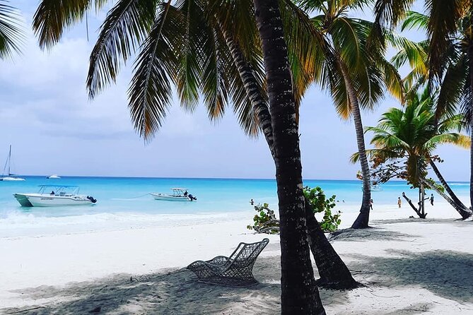 Ocean El Faro Resort - Round Trip Shuttle - Punta Cana Airport - From booking to pickup: what happens behind the scenes
