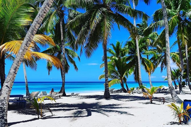 Ocean El Faro Resort - Round Trip Shuttle - Punta Cana Airport - Meeting your driver at Punta Cana: fast and low-stress