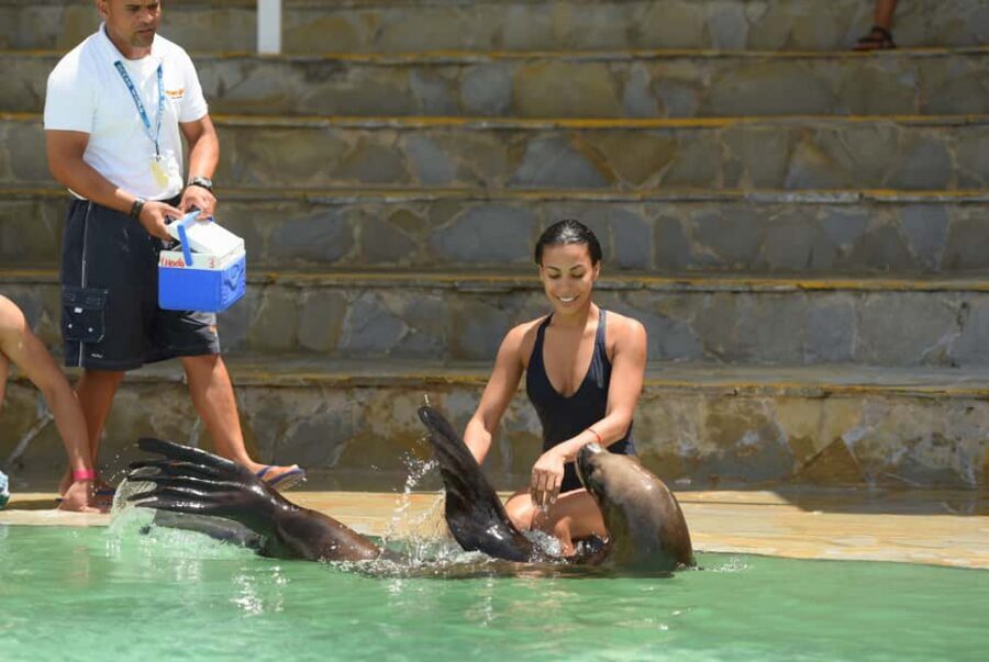 Ocean World Dolphin Swim & Sea Lion Combo from Puerto Plata - Key things that make this combo worth your time