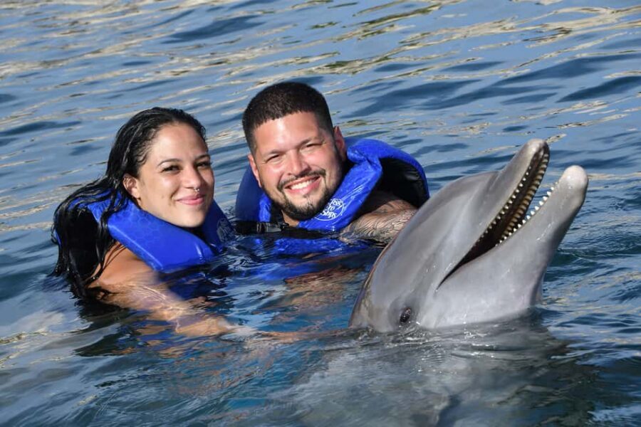 Ocean World Dolphin Swim & Sea Lion Combo from Puerto Plata - Dolphin Swim at Cofresí: what the 30 minutes is really like