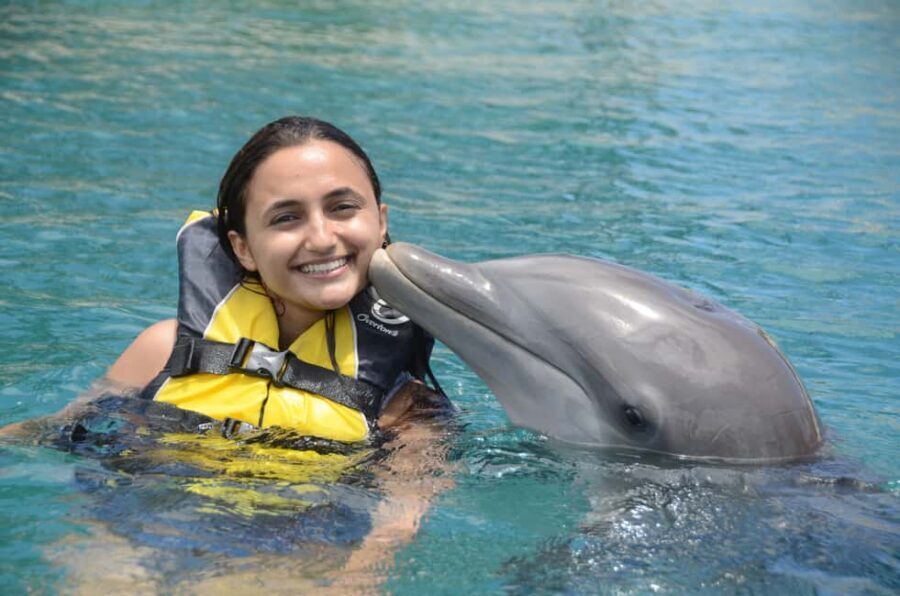 Ocean World Dolphin Swim & Sea Lion Combo from Puerto Plata - Snorkeling the Tropical Reef Aquarium: the calmer payoff