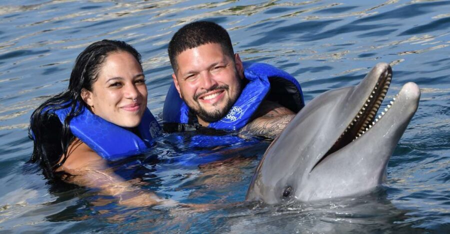 Ocean World Dolphin Swim & Sea Lion Combo from Puerto Plata - Shows on the schedule: what’s worth your attention