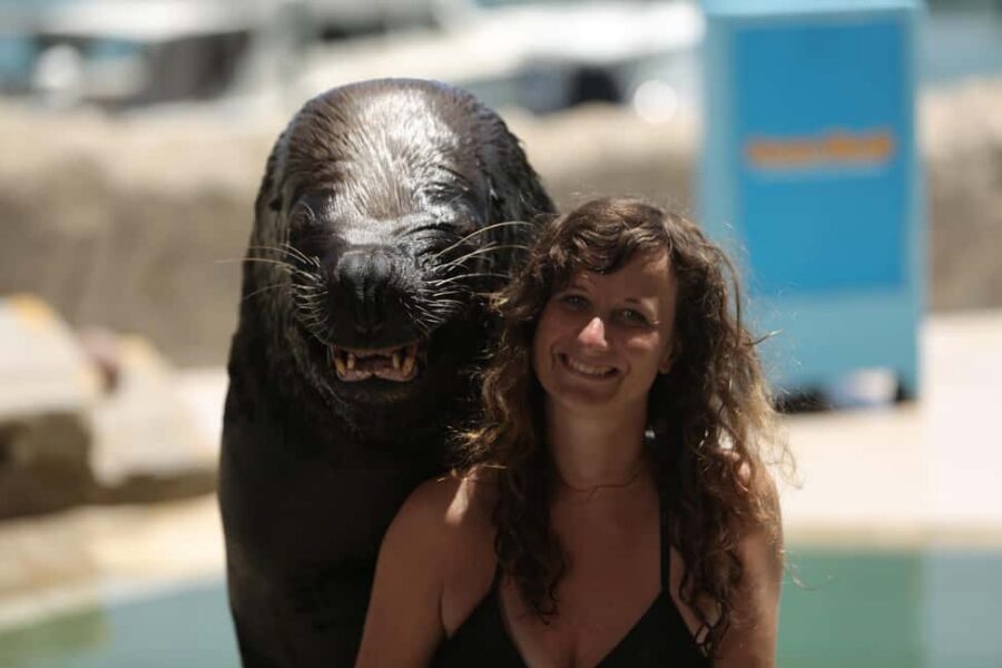 Ocean World Dolphin Swim & Sea Lion Combo from Puerto Plata - Sea Lion Encounters: pool time plus a real talk about habitat