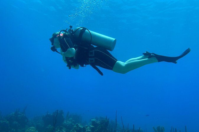 Open Water Diver - Bávaro - The big concern: seasickness and day-of conditions