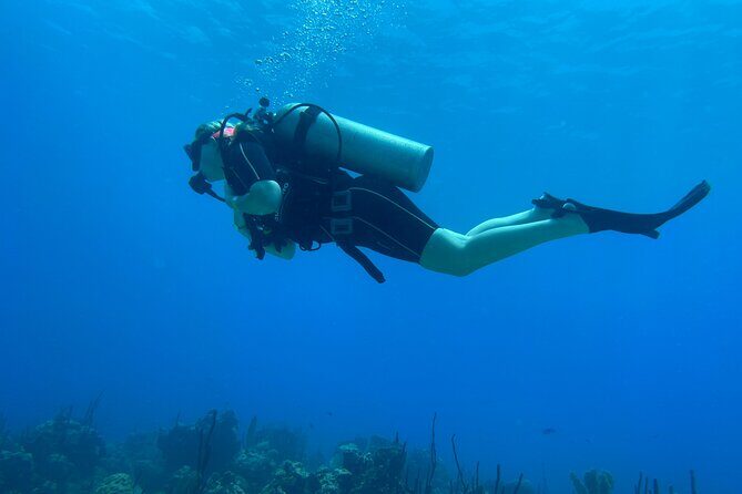 Open Water Diver - Bávaro - Value check: is $460 in Punta Cana a fair deal?