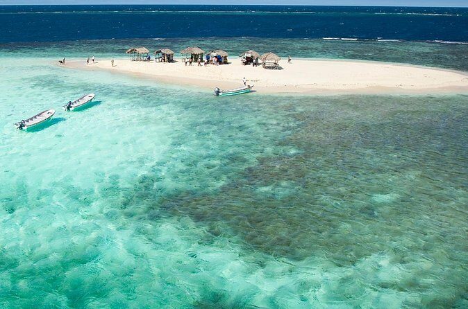 Paradise Island & Mangroves Tour - Mangrove speedboat ride: nature you can actually see