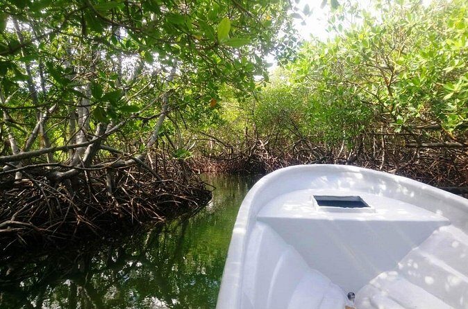 Paradise Island & Mangroves Tour - The market stop on the way back: a real Dominican pulse check