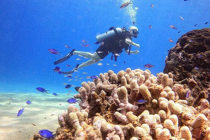 paradise island ( punta rucia) - Snorkeling and beach time on Cayo Arena (Paradise Island)