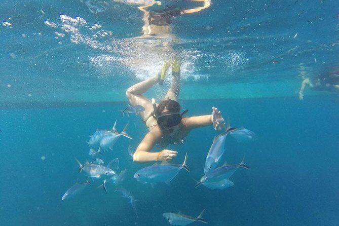 Party boat in Catamaran with Open Bar Only Adults + Snorkeling - What’s Included Onboard (So You Can Plan Your Hunger and Hydration)