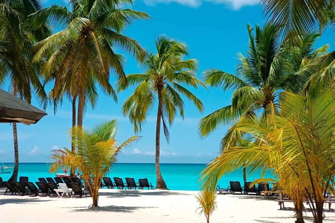 Perfect Day at Saona Island by Speedboat - Completely Private - Key highlights to watch for