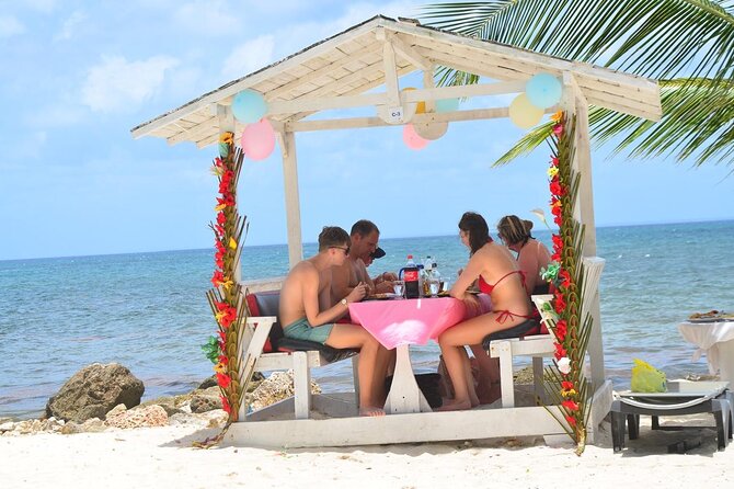 Perfect Day at Saona Island by Speedboat - Completely Private - Natural pool stop: clear water breaks up the day